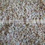 Natural Sesame Seeds thumbnail-1