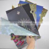 Colorful New Design High Quality Clear Pvc File Cover
