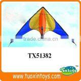 the Chinese Promotional Pocket Kite Factory thumbnail-3