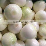 2014 Crop Fresh Yellow Onion High Quality and Good Price thumbnail-2