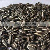 Online Shopping India Sunflower Seeds PP Woven Bags, Sunflower Seed Market Price thumbnail-1