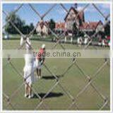 Electro Galvanzied Chain Link Fence