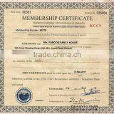 International Industrial Services company overview - view 3 thumbnail