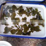 Health Tea,Slimming Tea Specialty and Loose Tea Style Anxi Tieguanyin Tea thumbnail-3