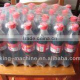 PET Bottle Packing Machine/Equipment thumbnail-5
