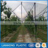 Made in China Anti Hail Net, anti hail netting for agriculture, 2016 hot sale Agricultural HDPE anti hail nets                        
                                                                                Supplier's Choice