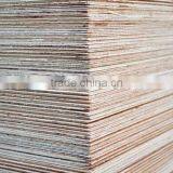 Types of Wood Veneer With Crown Cut Oak Engineered Veneer 2mm thumbnail-2