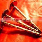 Kenya Market Umbrella Head Galvanzied and Twisted Shank Roofing Nails thumbnail-6
