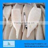 good quality frozen squid tube U7