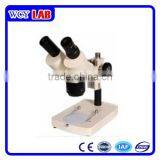 Stereo Microscope