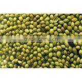 Coriander Seeds thumbnail-1