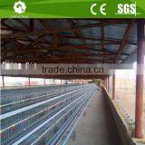 A Type Battery Broiler Chicken Cage/poultry Farm Automatic Chicken Cage for Sale thumbnail-5