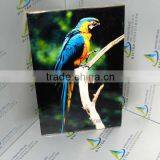 2015 New Season the Latest Glass Printer Price New Model BYC168-3