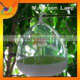 China Manufacturer Popular Design Mushroom Lamps Promotional Gift Mini LED Touchable Change Color Decorative Night Light thumbnail-1