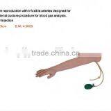 High Quality Full-functional Advanced Elder Venipuncture Training Arml