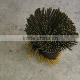 Trusted Quality Raw Agarbatti for India Market thumbnail-1