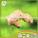 Professional Ginger Supplier Fresh Old Ginger thumbnail-4