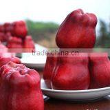 198# Huaniu Apple thumbnail-2