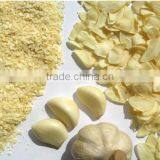 Non-irridated Garlic Granules