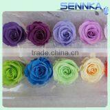 Factory Export High Quality Fresh Preserved Rose Flower From China thumbnail-5