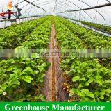 Agricultural Plastic Flower Tunnel Greenhouse thumbnail-3