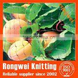 Extruded Bird Control Netting for Agriculture