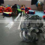 Shanghai Y&C Garden Co., Ltd. company overview - view 3 thumbnail