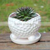 Hot Sale Customzied Color Glazed Ceramic Golf Ball Flower Pot thumbnail-1