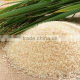 2048 Pixel Camera Rice Color Sorter With High Sorting Accuracy thumbnail-3