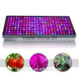 Hight Quality High Power Led Herb Gorw Light From Shenzhen Factory thumbnail-1