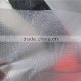 Cold Resistant Transparent pe Tarpaulin, Covering Tarpaulin, Waterproofing PE Tarpaulin thumbnail-1