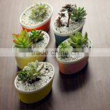 New Design Ship Shape Colorful Ceramic Flower Pots for Livingroom thumbnail-3