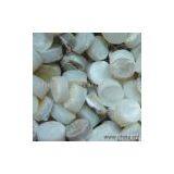 Sell Whitelip MOP Shell Blank thumbnail-1