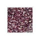 Sell Dark Red LSKB thumbnail-1