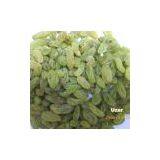Green Raisin thumbnail-1