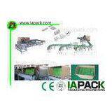 Horizontal Carton Wrapping Machine , Automatic Cartoning Machine