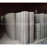 Galvanized Welded Wire Mesh, Dutch Wire Mesh