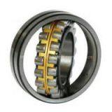 Rollway Bearing