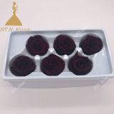 Dried Flowers, High quality Preserved Roses Preserved Roses as gifts