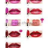 Latest New Products Matte Lipstick Private Label Oem Lipstick Wholesale Color Lipstick