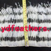 Partially Stripe Burnt Ostrich Feather Fringe/Trim 2ply Sew On Cord From China