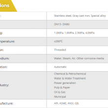 Mstnland SPRING LOADED LOW LIFT TYPE SAFETY VALVE thumbnail-2