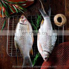 Frozen Silver Barb,Puti (Puntius Gonionotus) thumbnail-1