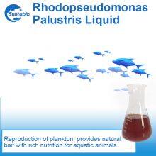 Photosynthetic Bacteria thumbnail-3