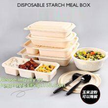 Dishes & Plates Dinnerware Blister Packaging Resturant Disposable Food Serving Tray Food Disposable Container thumbnail-4