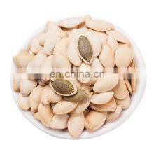 Dried Green Pumpkin Seeds Kernel for Sale Export