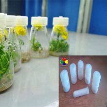 Zeatin Agricultural Usage Plant Growth Regulator Zeatin Water Insoluble thumbnail-2