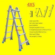 Little Gaint Ladder thumbnail-4