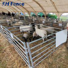 Heavy-Duty Solid Sheep Panel: Engineered to Resist Bending & Damage From Persistent Sheep Pressure & Impact thumbnail-1