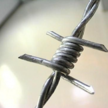 Security Protection Prison Applications Galvanized Cattle Barbed Wire thumbnail-3
